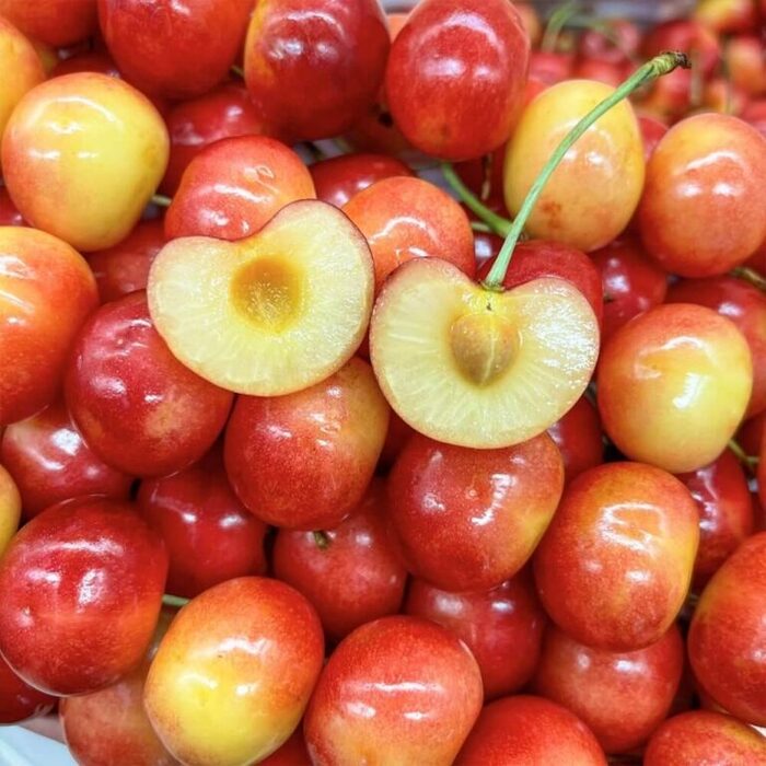 Cherry Úc có nhiều dinh dưỡng tuyệt vời tốt cho sức khỏe