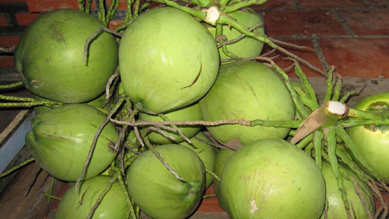 Dừa là loại quả cúng tết được nhiều gia đình lựa chọn.