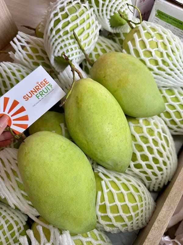 Sunrise Fruit cung cấp xoài tươi mới mỗi ngày để làm soda xoài