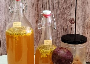 Gừng có làm kombucha được không?