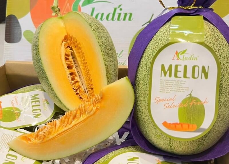 Ăn dưa lưới có mập không? Hàm lượng calo có trong dưa lưới bao nhiêu?