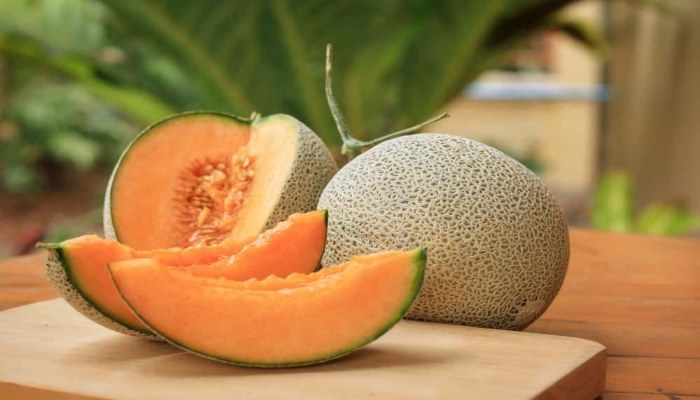 Một số đối tượng cần hạn chế, thận trọng khi ăn dưa lưới