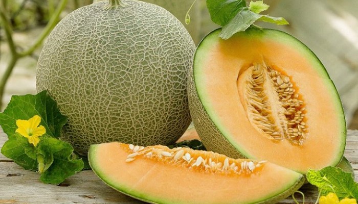 Ăn nhiều dưa lưới có tốt không? Nên ăn bao nhiêu mỗi ngày?