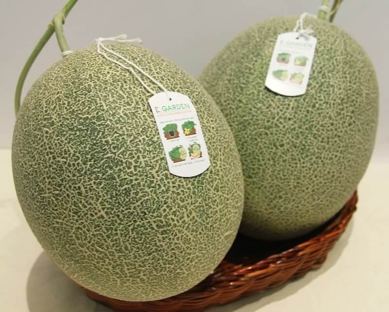 Dưa lưới bao nhiêu calo?
