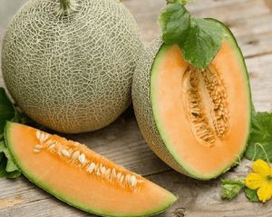 Lợi ích mà quả dưa lưới mang lại