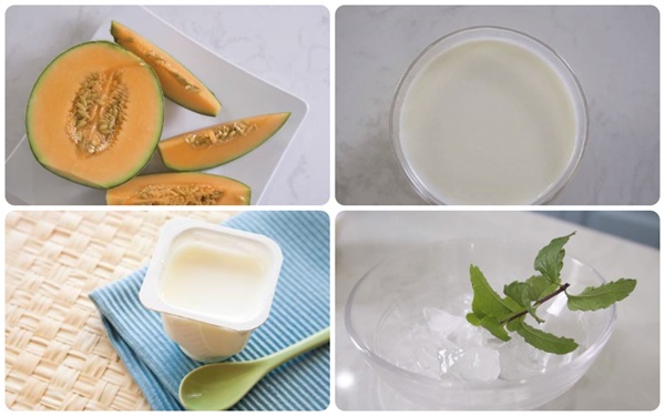 Những nguyên liệu cần thiết để làm sữa chua dưa lưới