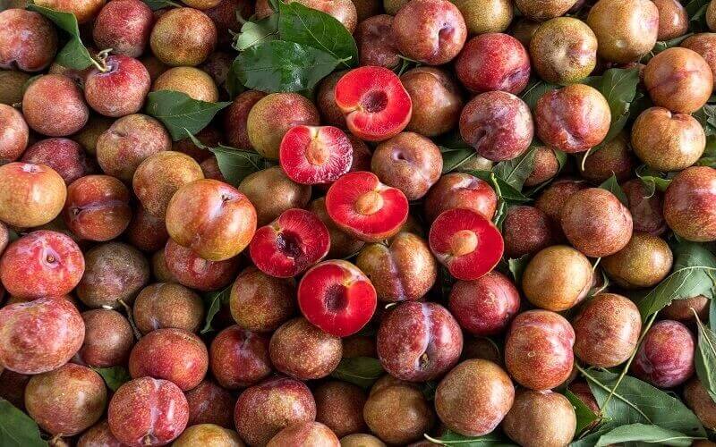 Mận hậu là loại trái cây chứa nhiều vitamin C và chất xơ