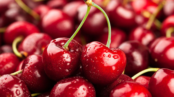 Cherry đỏ mọng được nhập khẩu