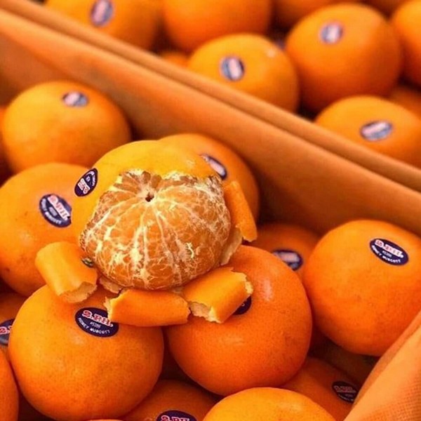 Quýt còn được biết đến như biểu tượng cho sự ấm áp, sung túc và trường thọ.
