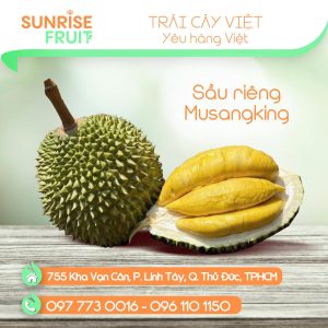 Sầu riêng Musangking