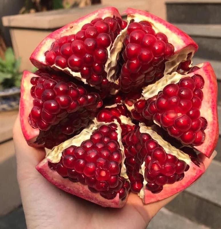 Quả lựu chứa nhiều chất chống oxy hóa như flavonoid và polyphenol, giúp bảo vệ tế bào khỏi sự tổn thương do gốc tự do